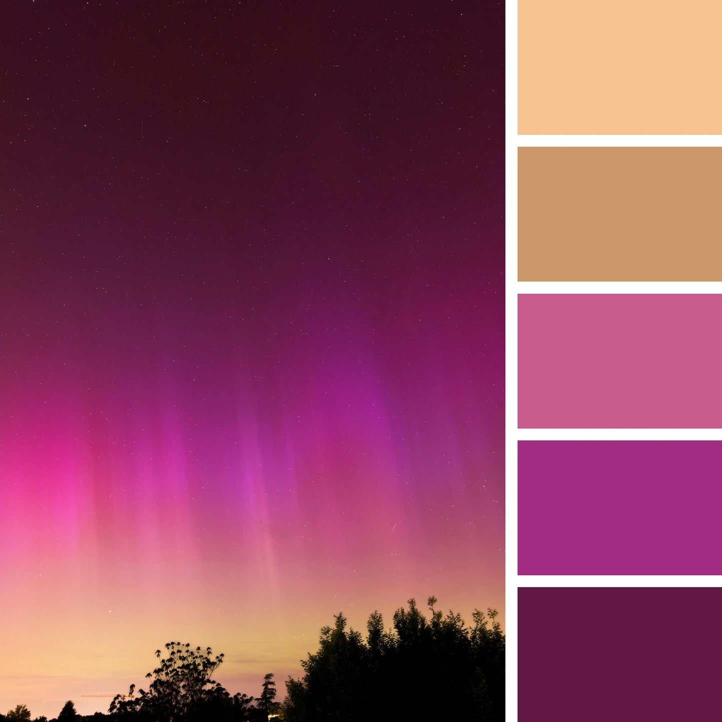 Raspberry Violet Aurora