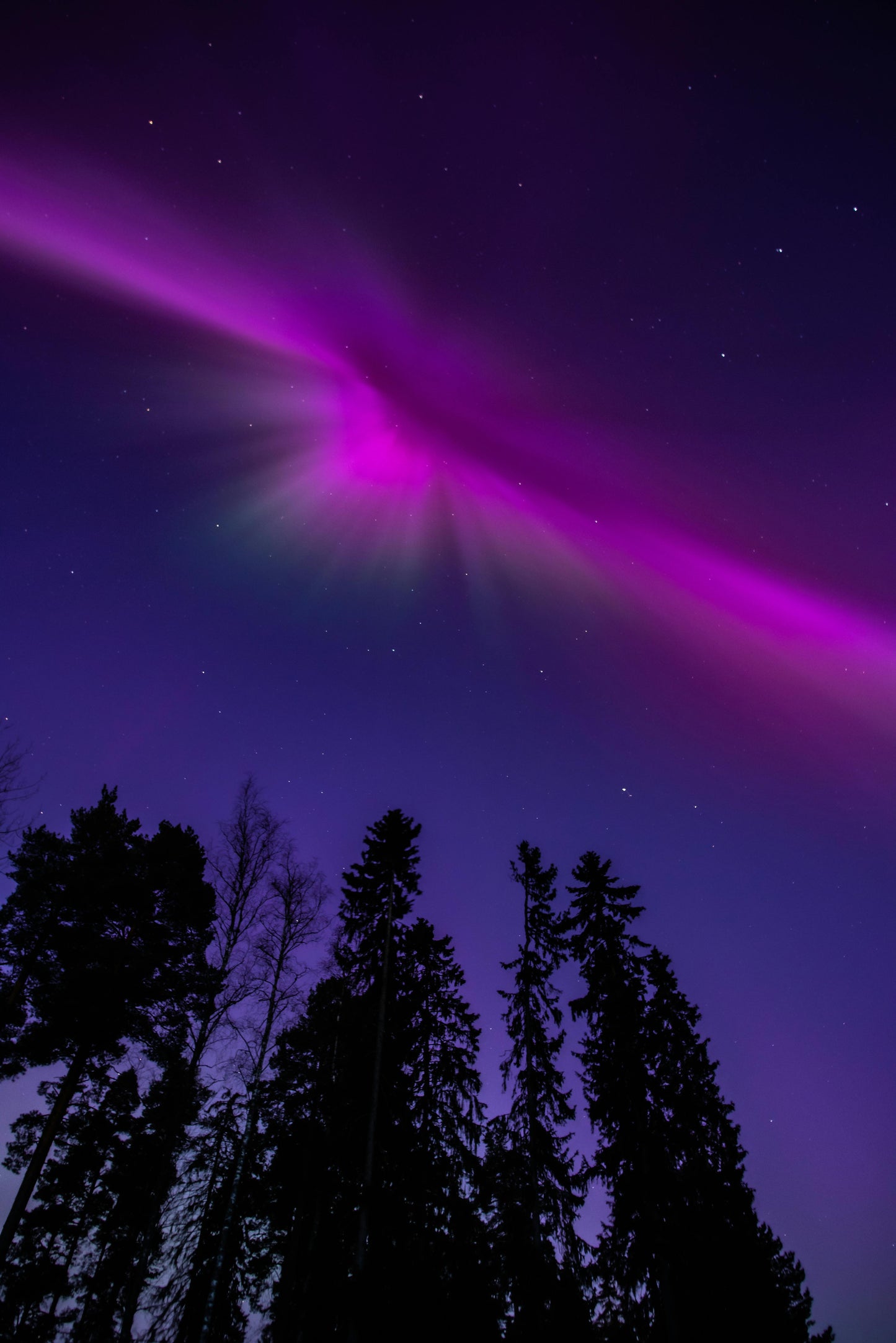 Aurora Polaris