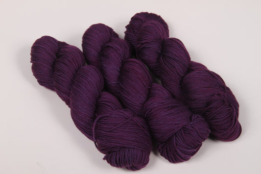 Amethyst Anemone