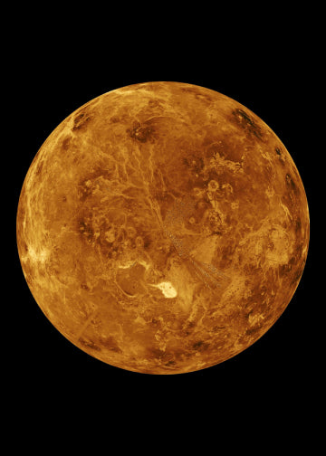 Venus (Roman Goddess)