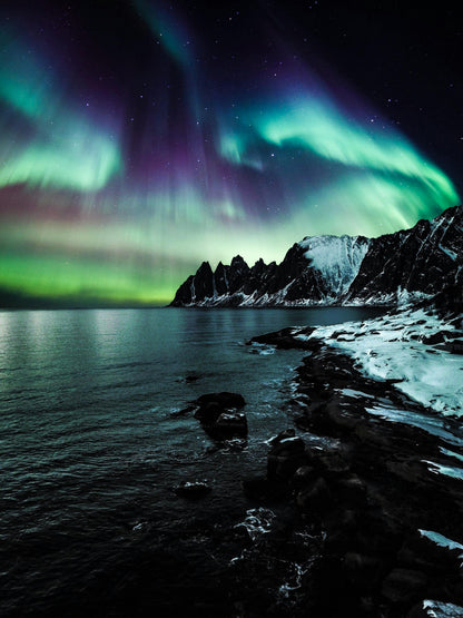 Arctic Lights
