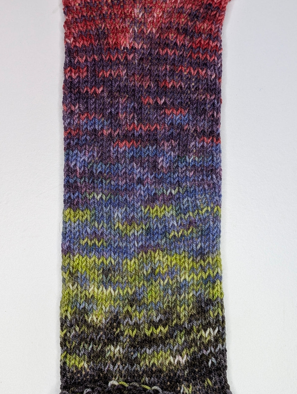 Dusky coral