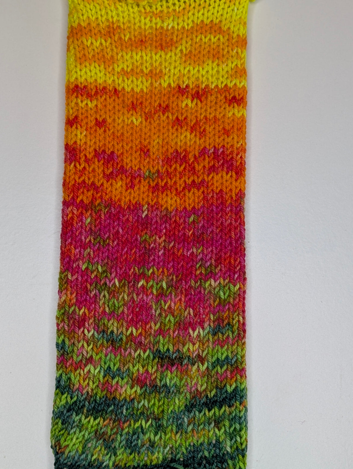 Firecracker bloom